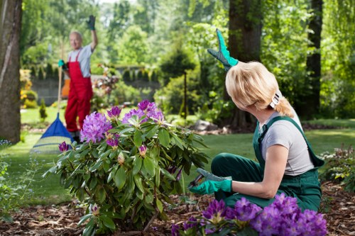 Garden maintenance in Holloway with tidy planting and lawn care