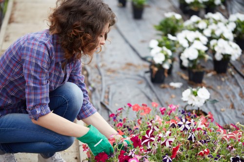 Gardeners Holloway team focused on outdoor care and garden improvement
