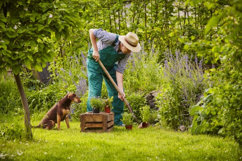 Gardeners Holloway maintaining a tidy residential garden