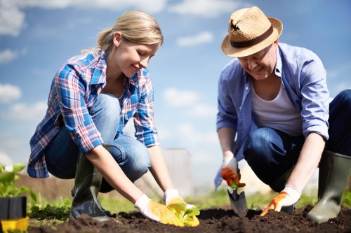 Professional decking services in Holloway for a stylish garden upgrade