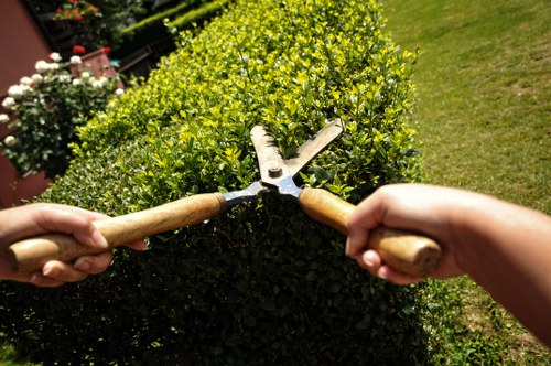 Professional gardeners in Holloway creating a beautiful garden