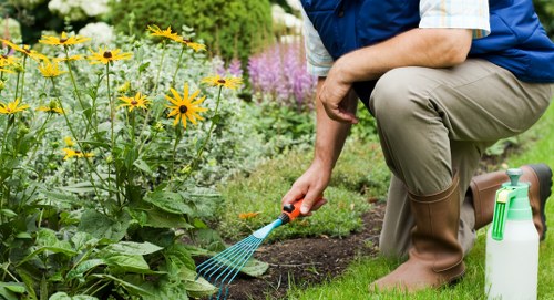 Final stage of a garden service complaint review
