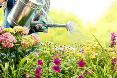 Gardeners Holloway shaping hedges and lawn edges