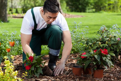 Careful hedge cutting in a Holloway residential garden