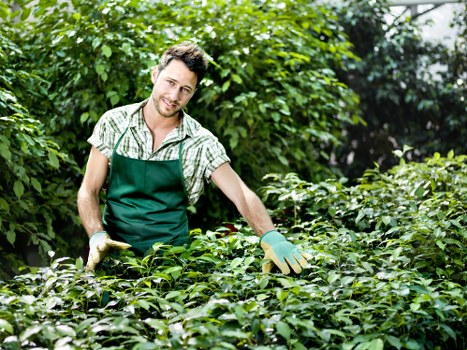 Professional patio cleaning removing moss and grime in Holloway