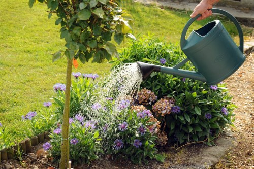 Hedge trimming and lawn care services in Holloway garden