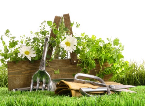 Garden estimate for a Victorian property with narrow access