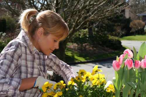 Free no-obligation quote for garden services in Holloway