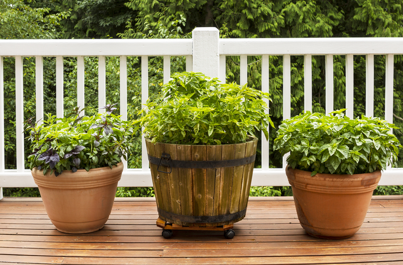 garden patio
