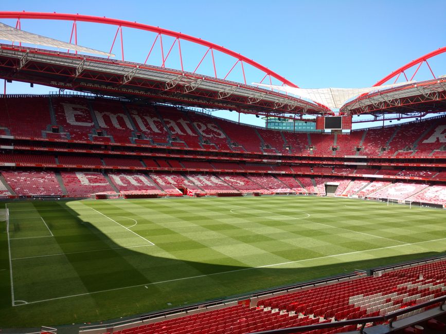 A view of the interior of the Emirates Stadium with the lush green football pitch in the foreground, featuring neatly mowed grass with visible mowing lines and a slight sheen from sunlight. Behind the